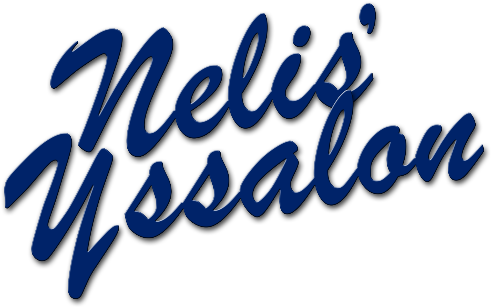 Nelis IJssalon - Visit website